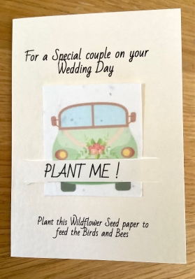 * Our Little Seed Co. Wedding Day Car