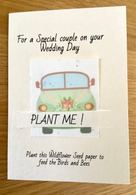 * Our Little Seed Co. Wedding Day Car