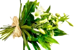 *Natural Lily Sheaf ECO