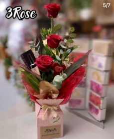 3 Rose