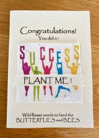 Congratulations Wildflower Seed Card