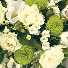 Posy   Green and White